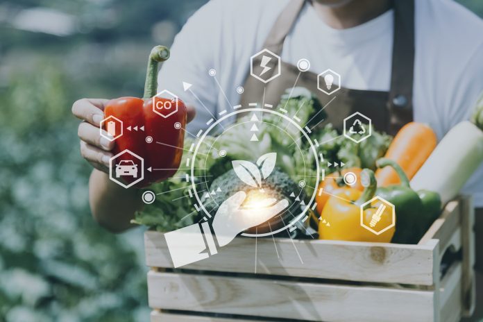 METROFOOD-RO 2019-2022