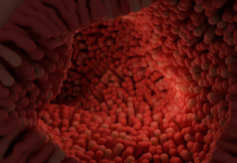 Substanțele chimice industriale și pesticidele: o amenințare pentru sănătatea intestinală și eficacitatea antibioticelor